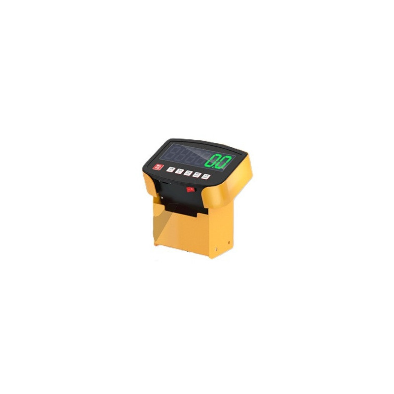 BFC Standard Weighing Pallet Truck Display