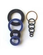 Seal Kits & Valves