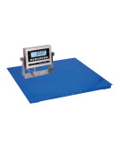 Platform Scales
